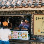 Ishigaki Island Private Photo Tour by English Native Speaker - Who Should Consider This Tour?