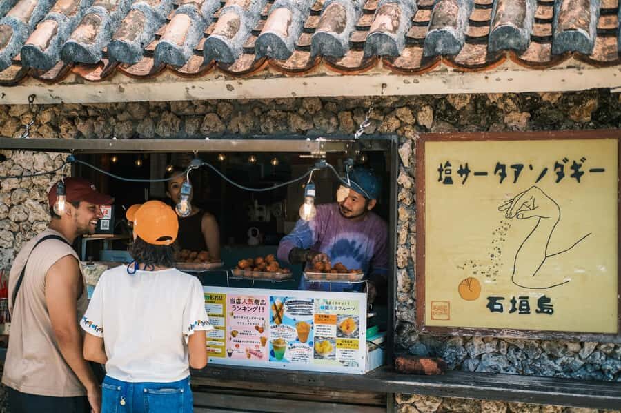 Ishigaki Island Private Photo Tour by English Native Speaker - Who Should Consider This Tour?