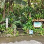 Ishigaki Okinawa: Private Shore Excursion for Cruise Guests - What Makes This Tour Stand Out?