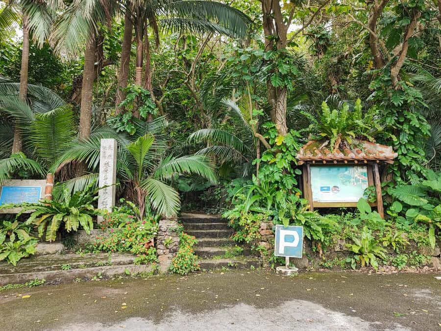 Ishigaki Okinawa: Private Shore Excursion for Cruise Guests - What Makes This Tour Stand Out?