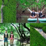 Ishigaki:Mangrove&Sea SUP/Kayak Tour with SLR&Drone footage - What Makes This Tour Stand Out