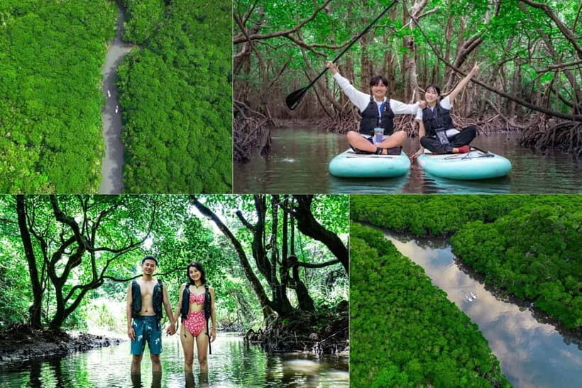 Ishigaki:Mangrove&Sea SUP/Kayak Tour with SLR&Drone footage - What Makes This Tour Stand Out