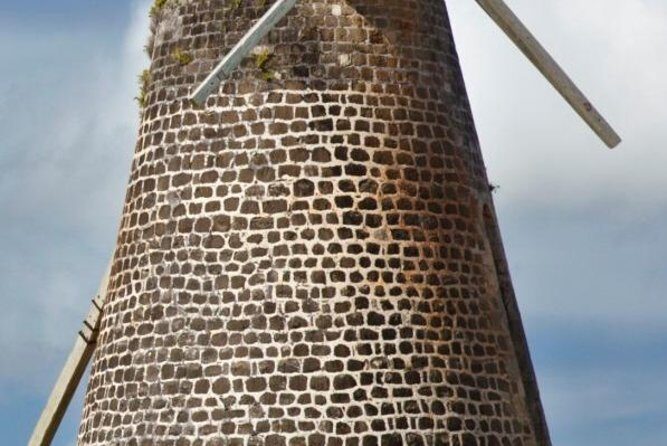 Island Safari 4x4 Discovery Tour from St John's - Authentic Experiences from Review Insights