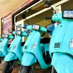 Island Scooter Tour Bonaire - Is It Worth the Price?