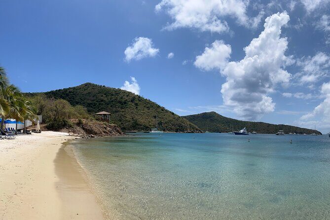 Island & Snorkeling Tour  Smuggler + Cane Garden Bay - Who Would Enjoy This Tour?  