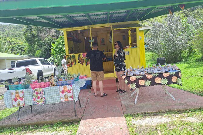 Island Tour - The Practicalities: What to Expect