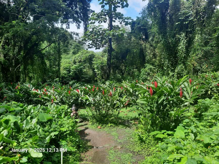 Island Tours: St. Vincent & the Grenadines - Dark View Falls - The Sum Up