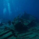 Island Wreck and Reef Scuba Excursion - What to Expect from the Island Wreck and Reef Excursion