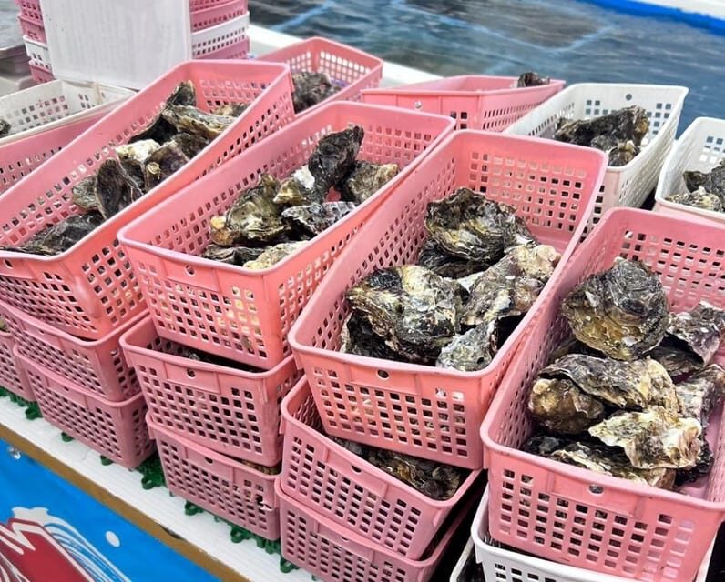 Itoshima Nature Tour with Oyster - Introduction: Why This Tour Might Be Just What You Need