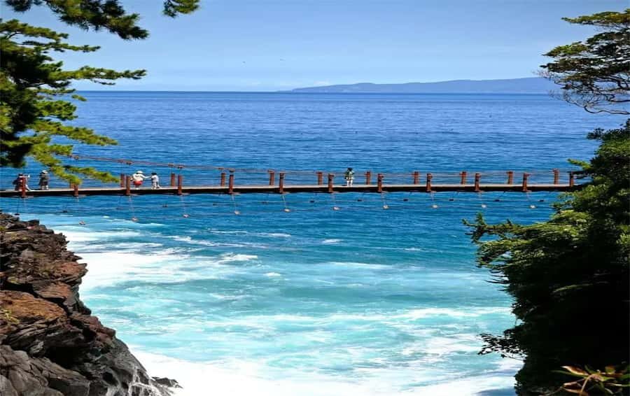 Izu: Ito Coast Grotesque & Doll Museum Day Trip From Tokyo - Who Would Love This Tour?