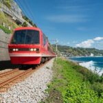 Izu Ocean View Train & Kawazu Cherry Blossom Festival Tour - The Final Verdict: Is This Tour Worth It?
