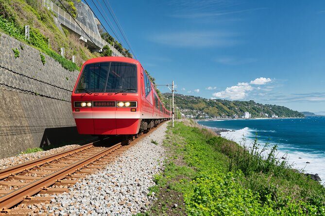 Izu Ocean View Train & Kawazu Cherry Blossom Festival Tour - Why This Tour Delivers Value