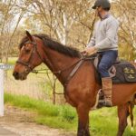 Jacobs Creek Vineyard Horse Ride and Tasting - A Complete Breakdown of the Experience