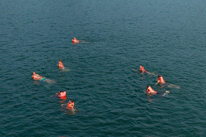 JadeSails - Top Luxury Day Cruise Discover Halong & Lan Ha Bay - Who Should Consider This Tour?