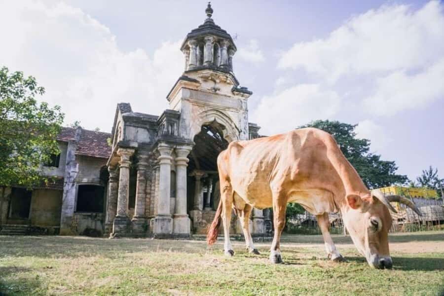 Jaffna City Tuk Tuk Adventure  Explore Like a Local! - Exploring the Itinerary: What You Can Expect