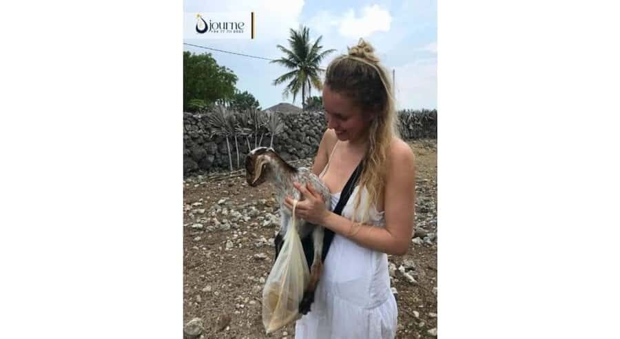 Jaffna: Delft Island Overnight Tour with Tamil Village Stay - Second Day: Relaxed Exploration and Return