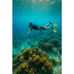 Jaffna Snorkeling Adventure: Explore Marine Wonders - Deep Dive into the Experience