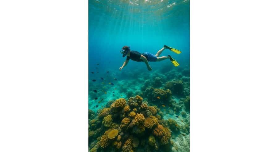 Jaffna Snorkeling Adventure: Explore Marine Wonders - Introduction to Jaffna’s Snorkeling Experience