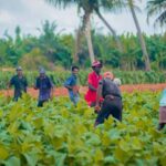 Jaffna: Tamil Farming Experience with Local Farmers - Practical Details and Tips for the Tour