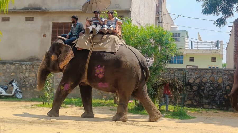 Jaipur 2 Day Private Tour With Guide - What Makes This Tour Stand Out