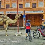 Jaipur: 3-Hour Morning Bike Tour of Jaipur Old City - Why This Tour Offers Great Value