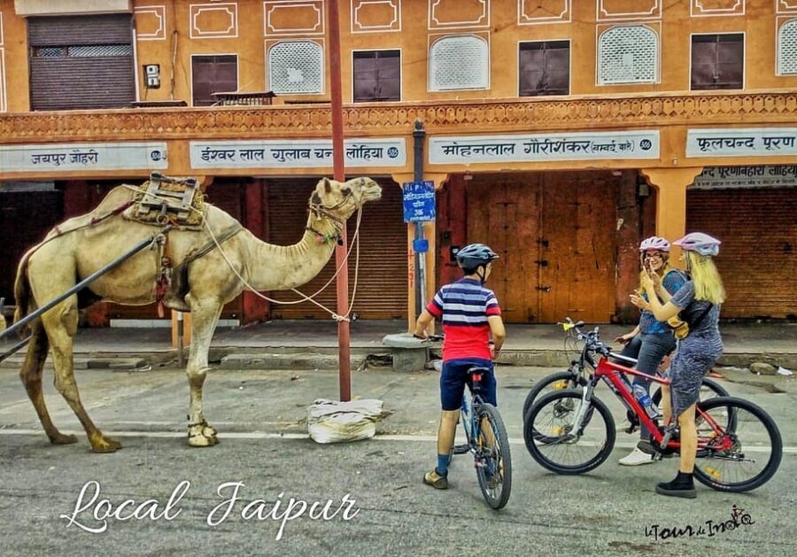 Jaipur: 3-Hour Morning Bike Tour of Jaipur Old City - Why This Tour Offers Great Value