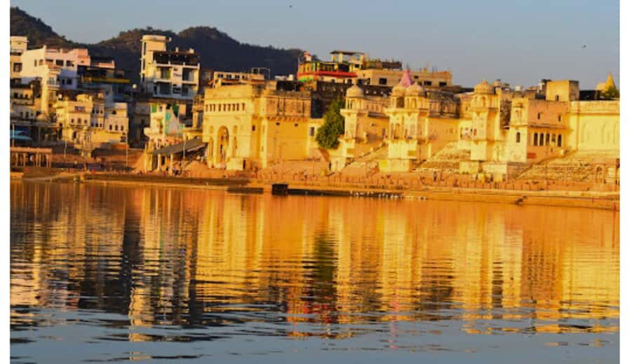 Jaipur: Ajmer & Pushkar Day Trip with Lunch and Camel Ride - Real Insights from Travelers