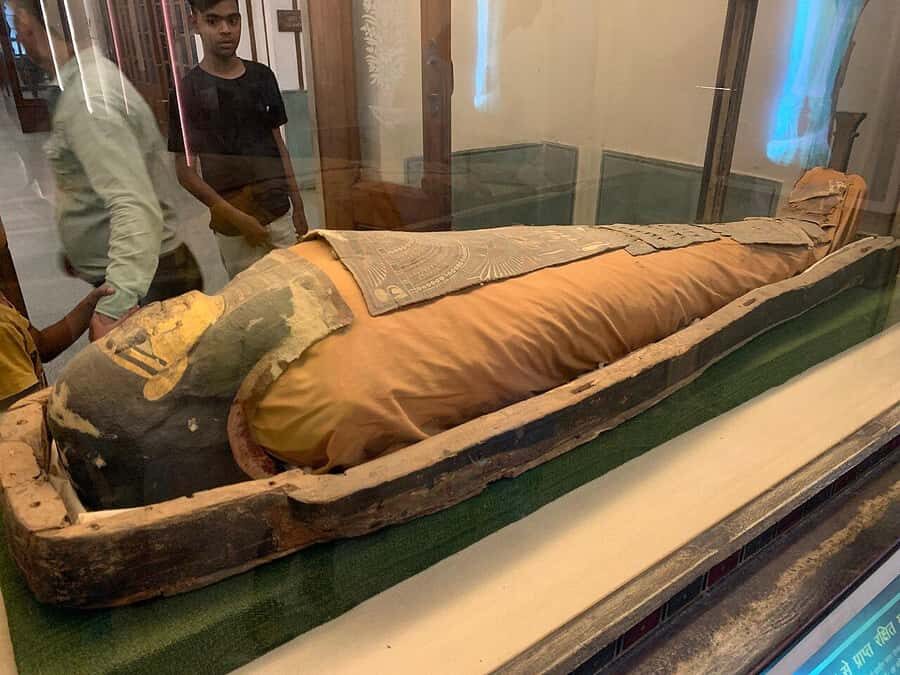 Jaipur: Albert Hall Museum Guided Walking Tour - The Sum Up