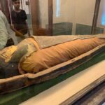 Jaipur: Albert Hall Museum Guided Walking Tour+Entry Ticket - Who will enjoy this tour?