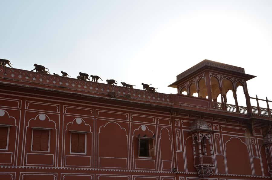 Jaipur: City Highlights Tour with Local Transport - Transport Mode: Traveling Like a Local
