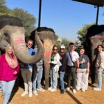 Jaipur: City Tour With Elephant Interaction - Final Thoughts: Is This Tour Worth It?