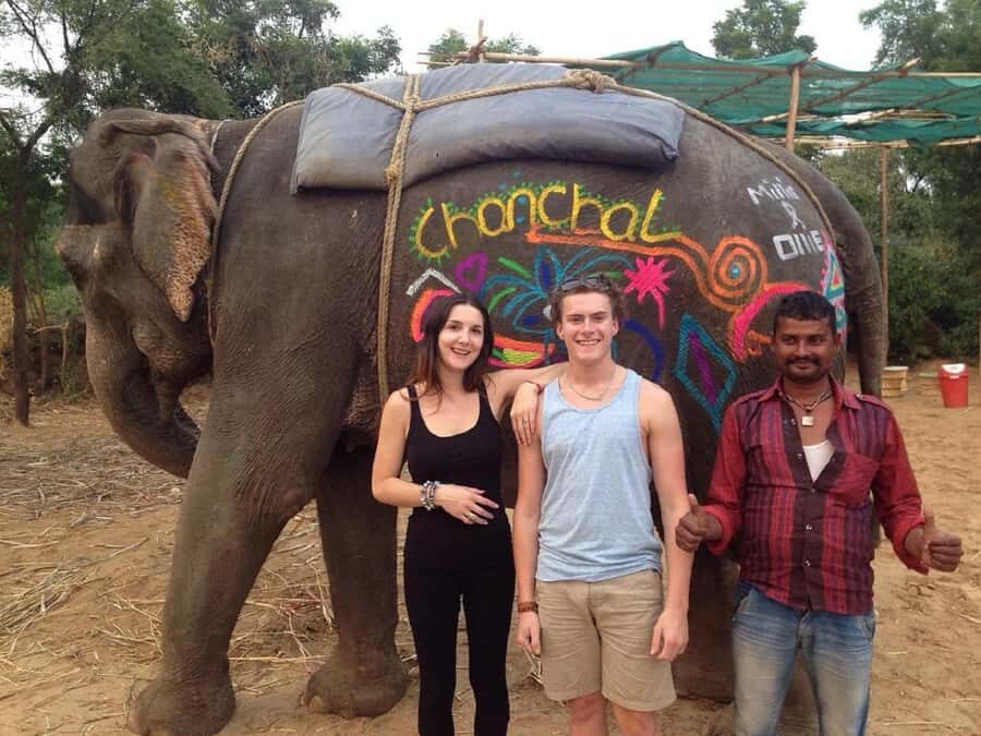 Jaipur: Elephant Experience Feed, Paint & Ride with Pickup - An In-Depth Look at the Jaipur Elephant Experience