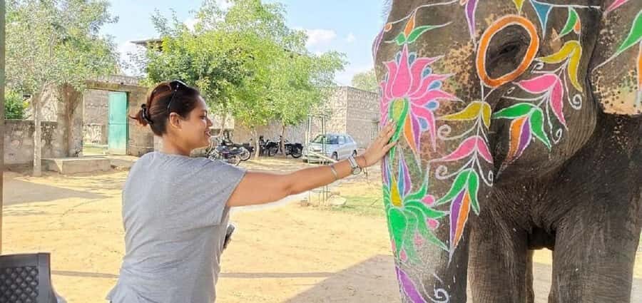 Jaipur Elephant Village: All Activity in Village with Pickup - A Closer Look at the Tour Itinerary