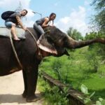 Jaipur Elephant Village: Elephant Riding, Painting, Feeding - The Itinerary Breakdown: What to Expect