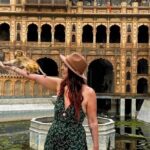 Jaipur Evening Tour with a Visit to the Monkey Temple - Exploring the Pink City at Night