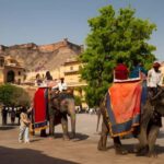 Jaipur Full Day Tour with Pickup & Drop-off in Agra or Delhi - The Journey Back and Drop-off Flexibility