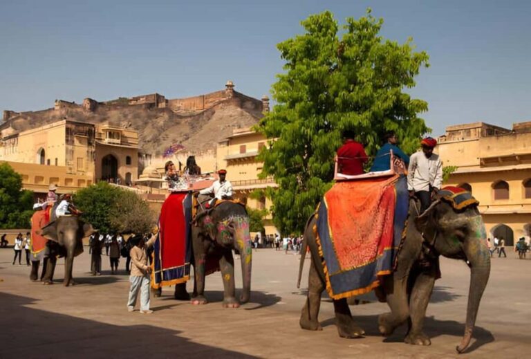 Jaipur Full Day Tour with Pickup & Drop-off in Agra or Delhi - The Journey Back and Drop-off Flexibility