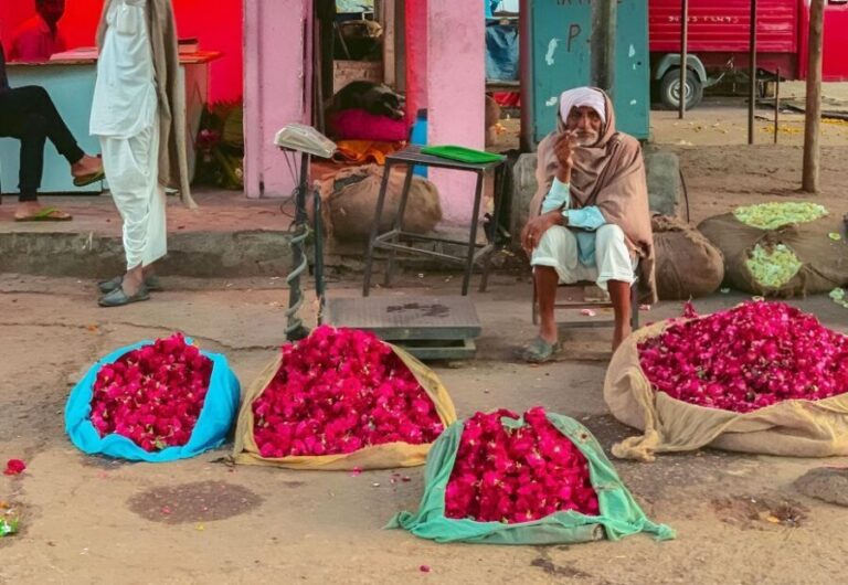 Jaipur: Half-Day Guided Sightseeing Tour with Flower Market - Transportation and Logistics  