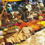 Jaipur Half-Day Tour with Flower Market by Tuk-Tuk or Car - What’s Included and What’s Not?