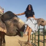 Jaipur: Interactive Elephant Experience Feed, Paint & Ride - Who Is This Tour Best For?