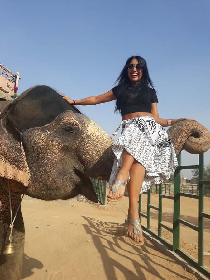 Jaipur: Interactive Elephant Experience Feed, Paint & Ride - Who Is This Tour Best For?