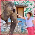 Jaipur: Night Tuk Tuk Tour with English Speaking Driver - An In-Depth Look at the Jaipur Night Tuk Tuk Tour