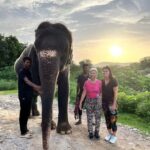 Jaipur: Private Elephant Sanctuary - Who Is This Tour Best For?