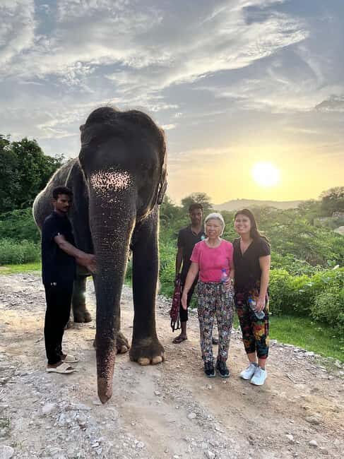 Jaipur: Private Elephant Sanctuary - Who Is This Tour Best For?