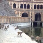 Jaipur: Private Evening Tour W/ Monkey Temple & Local Market - What Makes This Tour Stand Out