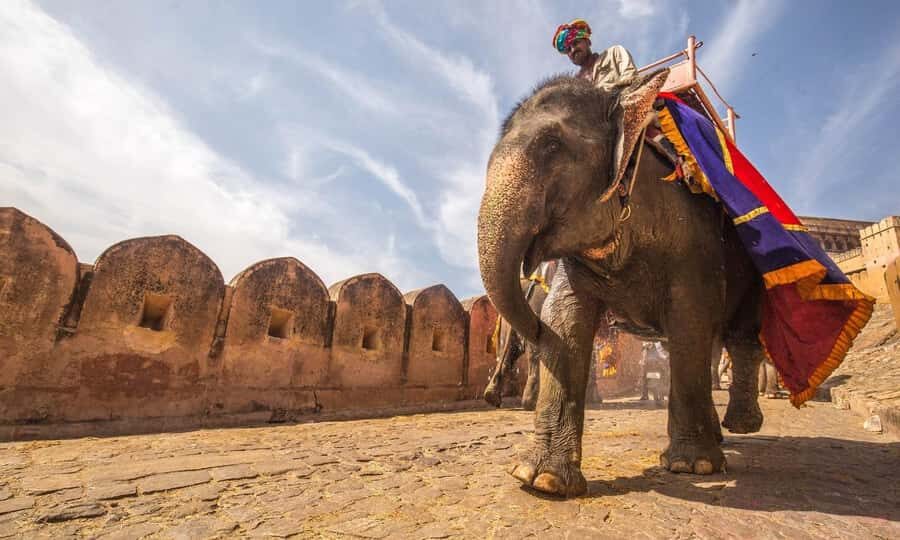 Jaipur: Private Full Day Jaipur Royal City Tour By Tuk-Tuk - What Makes This Tour Stand Out?