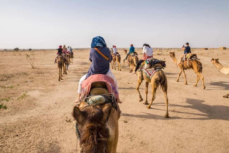 Jaisalmer: Half-Day Desert Safari with Camel Ride and Dinner - The Value in Context