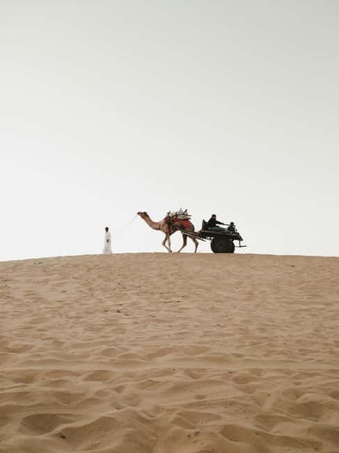 Jaisalmer: Overnight stay under the stars with camel safari - Who Will Love This Experience?