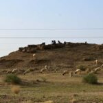 Jaisalmer: Thar Desert Sunset Camel Ride with Dinner & Show - Why This Tour Offers Good Value