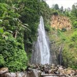 Jakarta: Botanical Garden & Rainforest Trekking to Waterfall - In-Depth Look at the Tour Experience